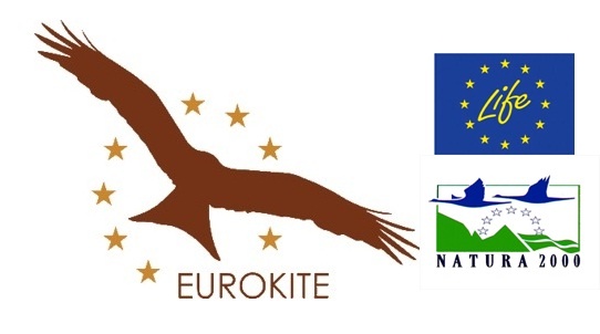 PROYECTO LIFE EUROKITE: Protección transfronteriza del milano real en Europa a través de la reducción de causas de mortalidad de origen antrópico.