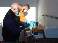 Enero 2022-Estudio de biomarcadores bioquímicos de plomo en necrófagas con el dpto de sanidad animal área de toxicología de Fac. Veterinaria de Cáceres