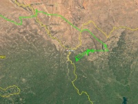 Desde el 1 de Enero de 2020 hasta hoy, 26 de febrero, este ejemplar de águila culebrera se encuentra entre las fronteras de Senegal, Malí y Mauritania.